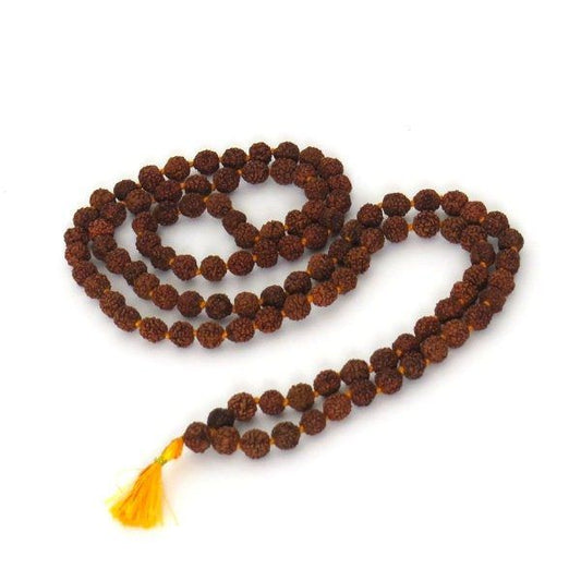 Mala de rudraksha