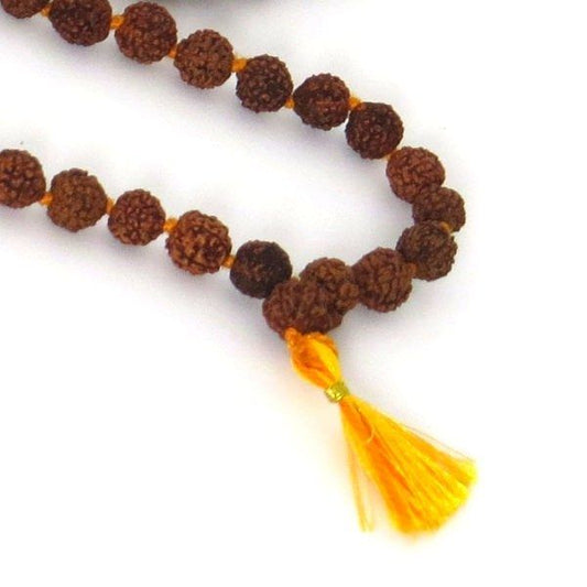 Mala de rudraksha grande