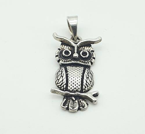 Colgante de la India buho de plata