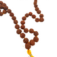 Mala de rudraksha