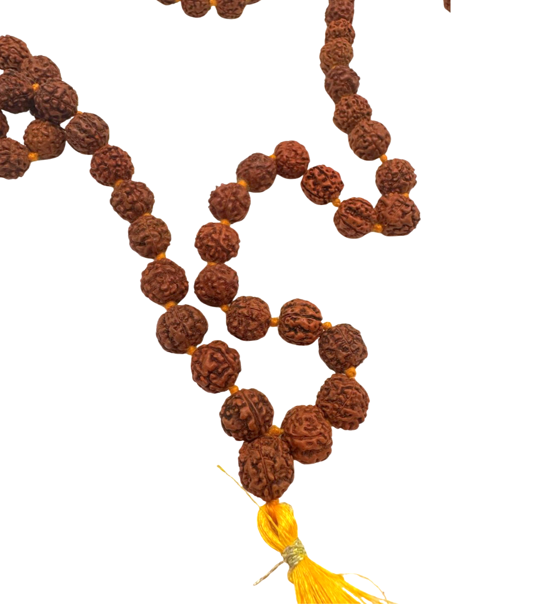 Mala de rudraksha
