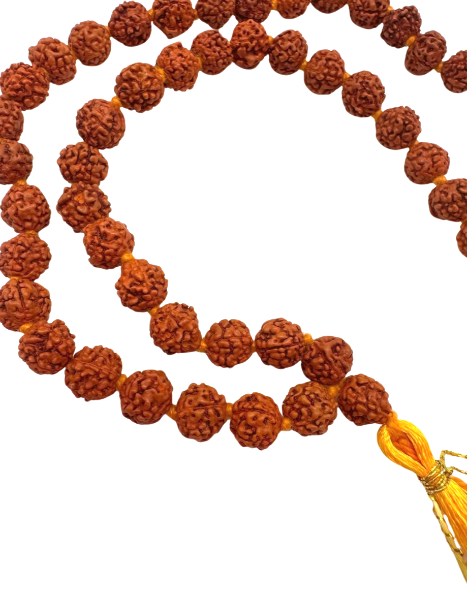 Mala de rudraksha
