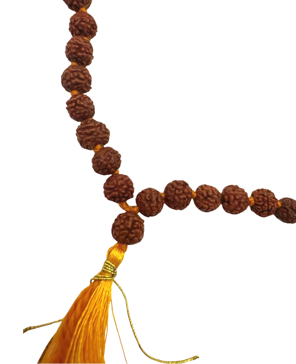 Mala de rudraksha