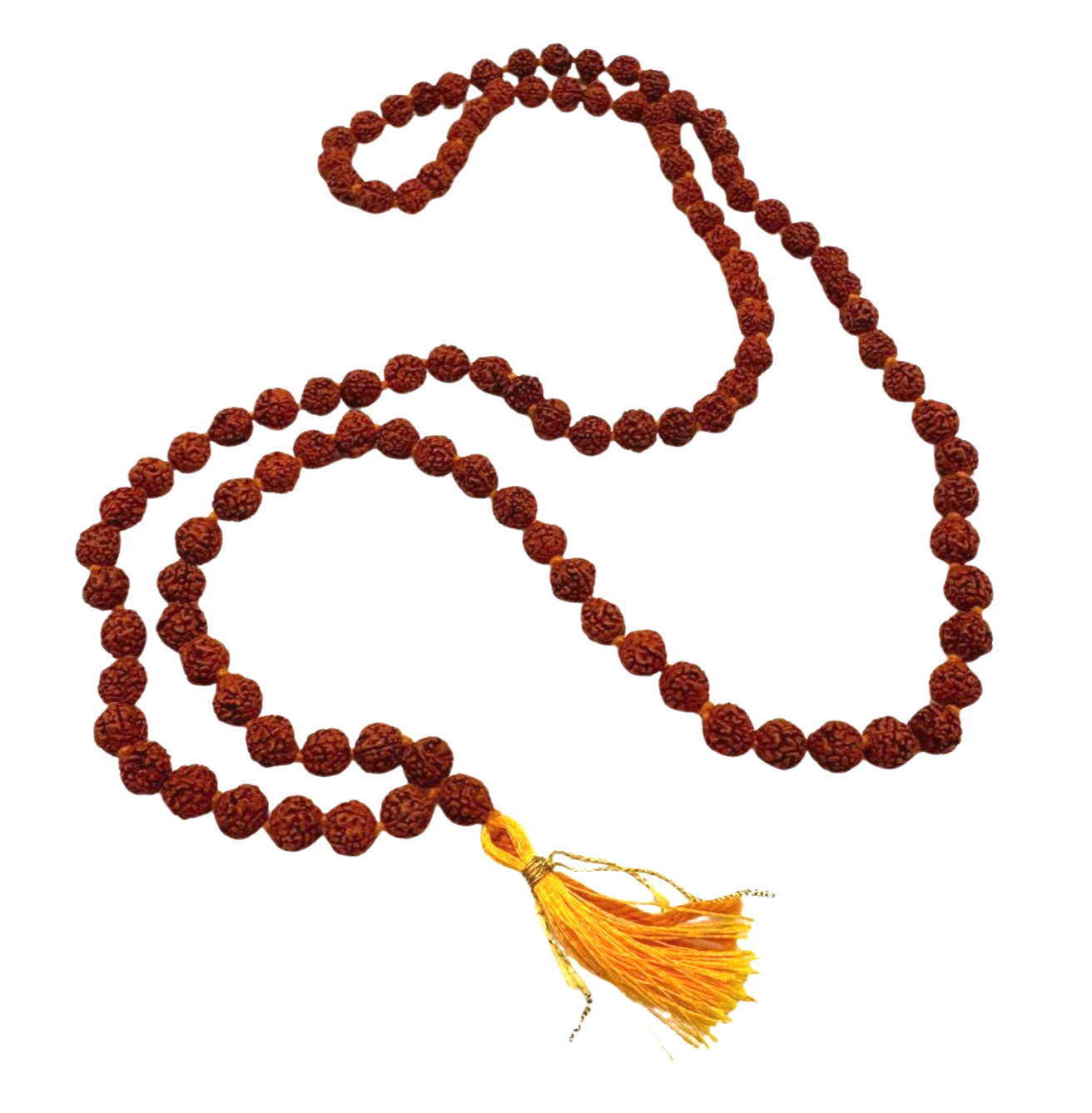 Mala de rudraksha
