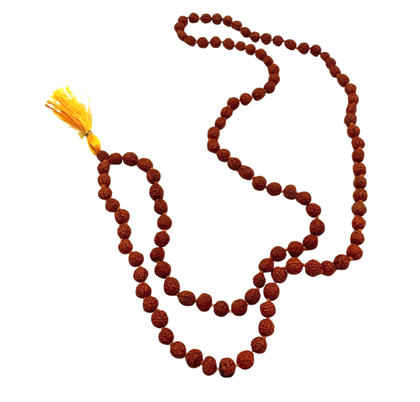 Mala de rudraksha