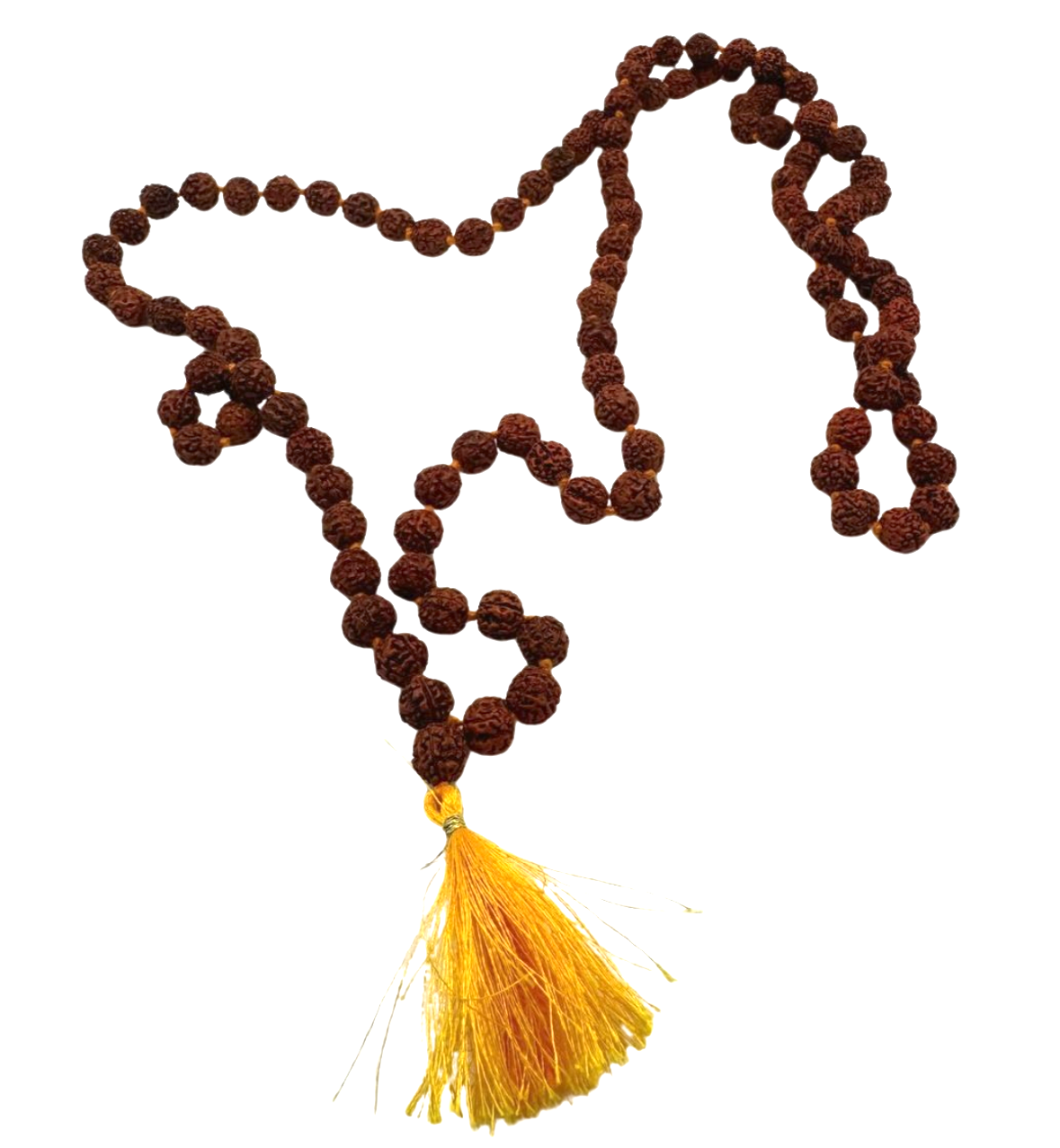 Mala de rudraksha