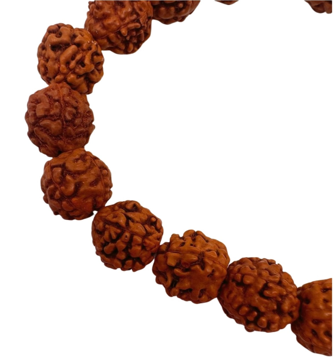 Pulsera de rudraksha pequeña