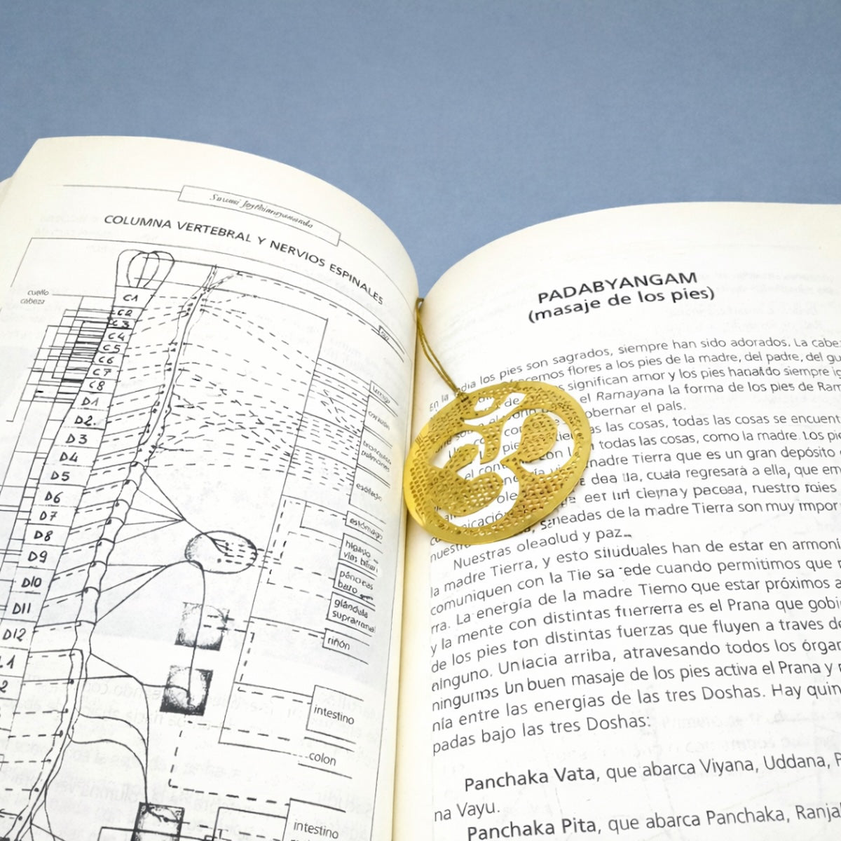 Punto de libro dorado en forma de ATRAPA SUEÑOS